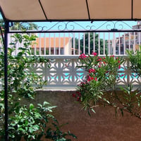 Vue sur la piscine