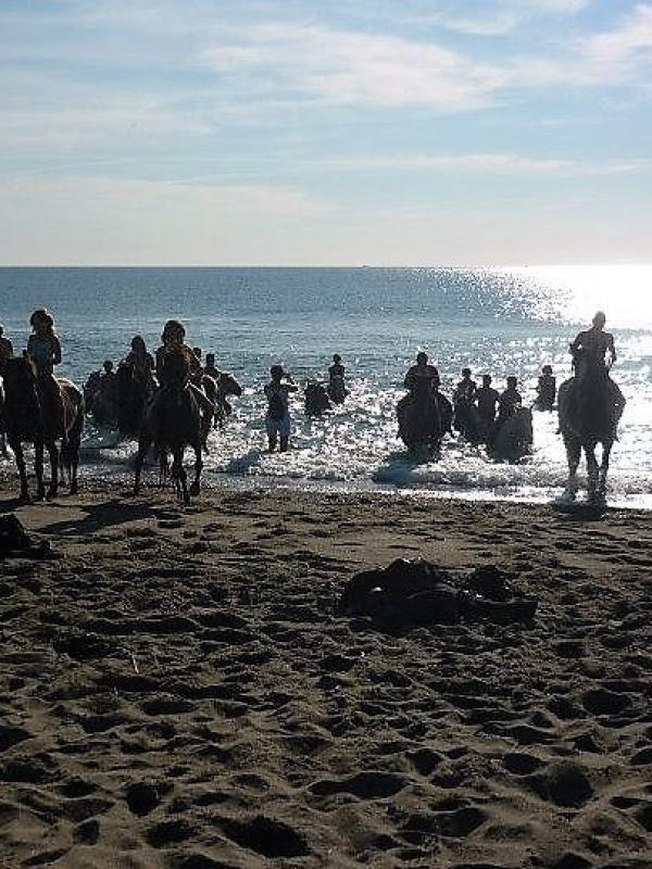 balades à cheval