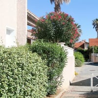 Allée entre les villas