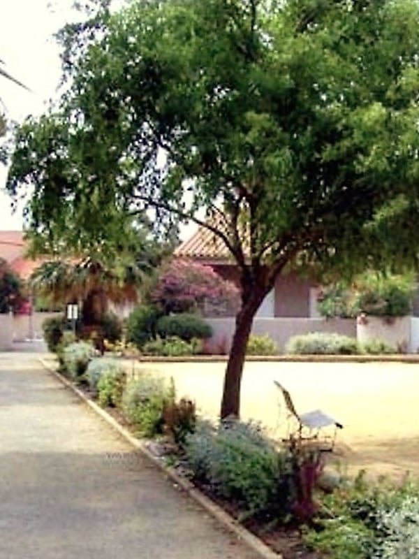 Boulodrome