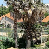 Vue sur le boulodrome